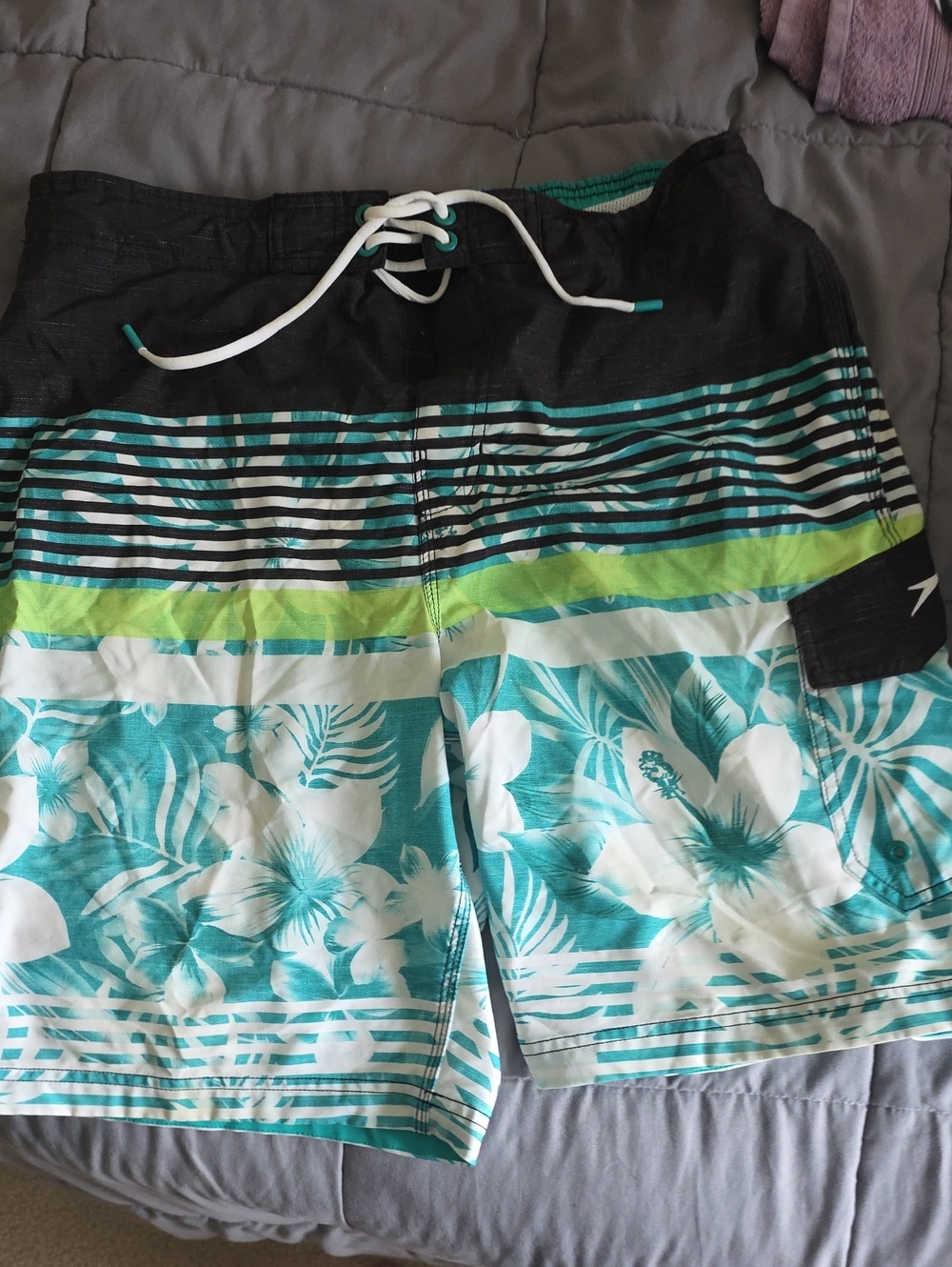 Speedo Teal Swim Briefs with Black Waistband Stripes